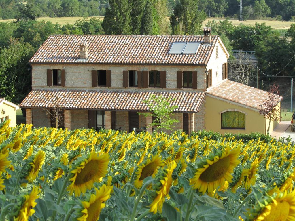 Agriturismo La Vecchia Fonte Guest House Castelbellino ภายนอก รูปภาพ